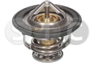 TERMOSTAT LICHID RACIRE