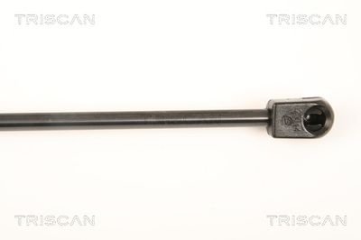 AMORTIZOR CAPOTA TRISCAN 871023114 2