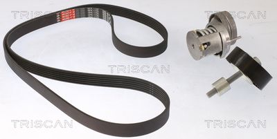 Sada žebrovaných klínových řemenů TRISCAN 8642 29048
