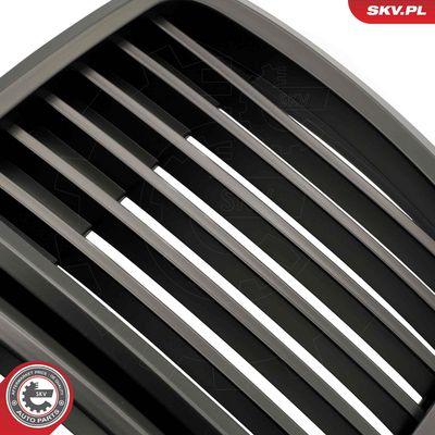 GRILA RADIATOR ESEN SKV 66SKV147 4