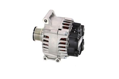 GENERATOR / ALTERNATOR REMANTE 011003000095R 17