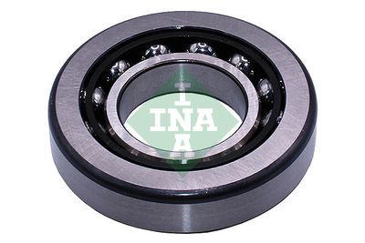 Schaeffler INA Lager, Differential