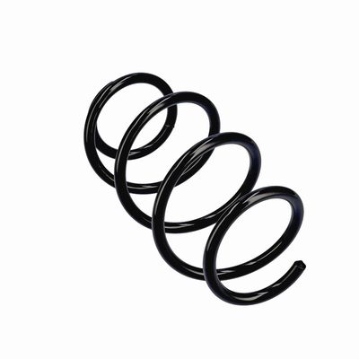 ARC SPIRAL EIBACH R20796 23
