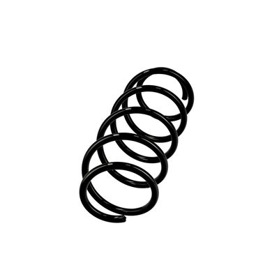 ARC SPIRAL EIBACH R10156 2