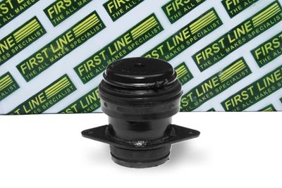 окачване, двигател FIRST LINE FEM3125