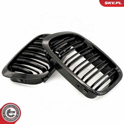 GRILA RADIATOR ESEN SKV 66SKV066 1