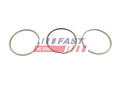 FAST FT47381/0