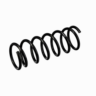 ARC SPIRAL EIBACH R10118 17