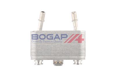 RADIATOR ULEI ULEI MOTOR BOGAP B4222106 3