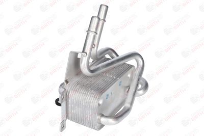 RADIATOR ULEI ULEI MOTOR BIRTH 80758 5