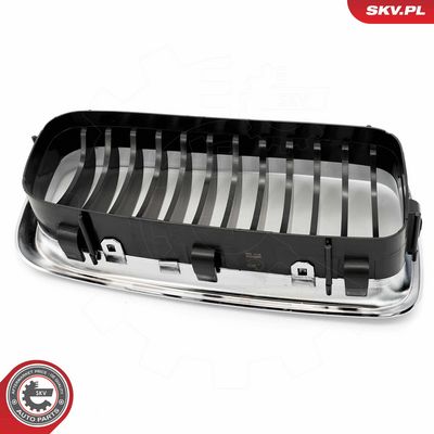 GRILA RADIATOR ESEN SKV 66SKV215 7