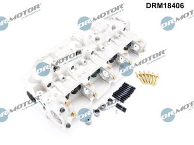 CHIULASA Dr.Motor Automotive DRM18406 2