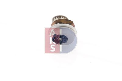 WASSERPUMPE MOTORKüHLUNG AKS DASIS 570480N 8