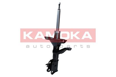 Shock Absorber 2000673