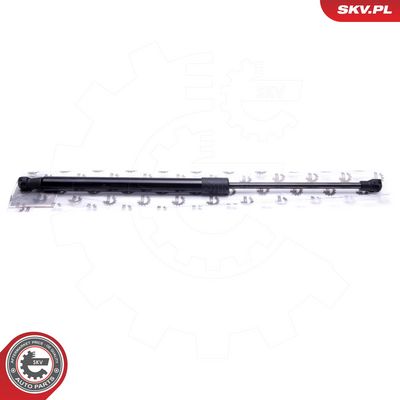 Dujinė spyruoklė, bagažinė