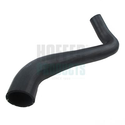 FURTUN EAR SUPRAALIMENTARE