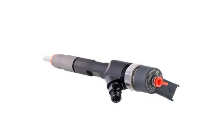 INJECTOR REMANTE 002003001043R 18