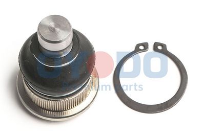 Šarnyras / girgždukas