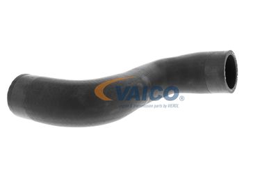 FURTUN EAR SUPRAALIMENTARE VAICO V104668 46