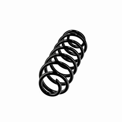 ARC SPIRAL EIBACH R10795 14