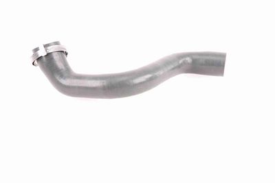 FURTUN EAR SUPRAALIMENTARE VAICO V460823 5