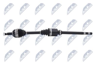 PLANETARA NTY NPWCT026 24