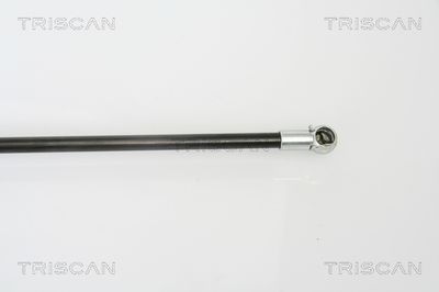 AMORTIZOR PORTBAGAJ KAWE 871050240 2