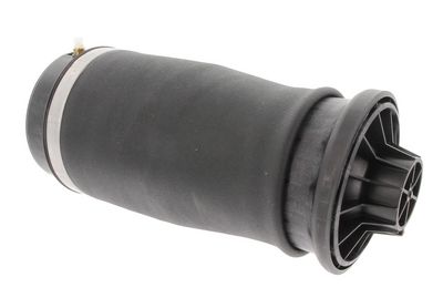 Air spring, suspension
