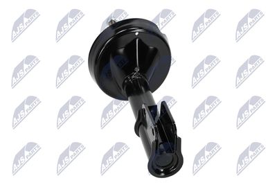 AMORTIZOR NTY ARE020 15