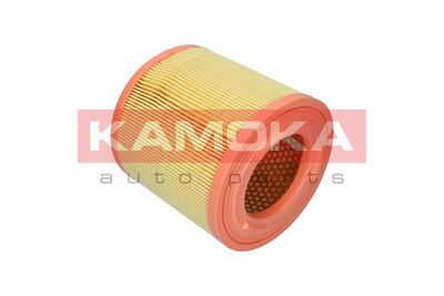 Air Filter F253301