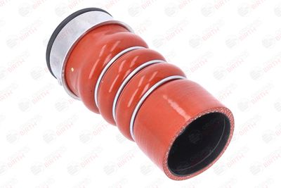 FURTUN EAR SUPRAALIMENTARE BIRTH 55674 2
