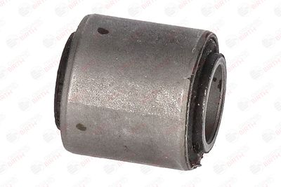 BUCSA ARBORE DE DIRECTIE BIRTH 4739 1