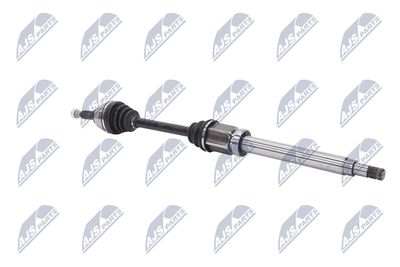 PLANETARA NTY NPWFR056 29