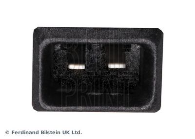 DRUCKWANDLER BLUE PRINT ADN17239 2