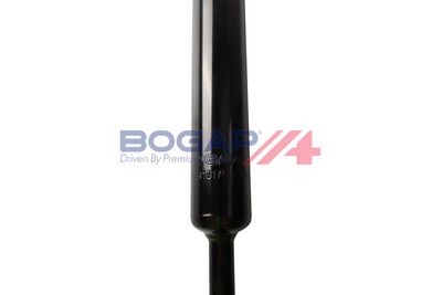 AMORTIZOR BOGAP A3410170 2