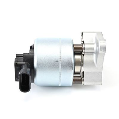 SUPAPA EGR DELPHI EG1000712B1 1