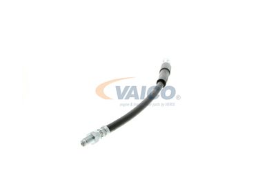 FURTUN FRANA VAICO V204104 17