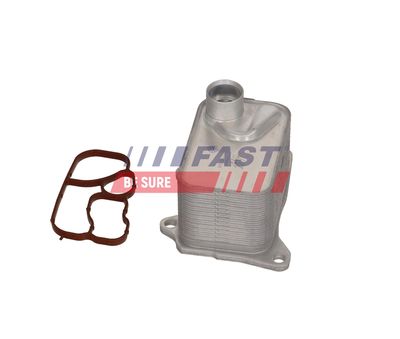 RADIATOR ULEI ULEI MOTOR FAST FT00665 18