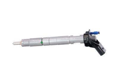 INJECTOR REMANTE 002003001360R 13