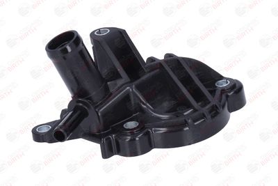 FLANSA LICHID RACIRE BIRTH 81890 12