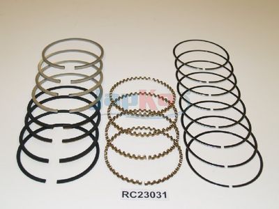 SEGMENT PISTON