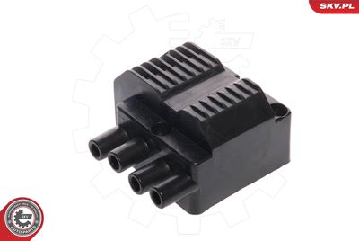 Ignition Coil 03SKV014