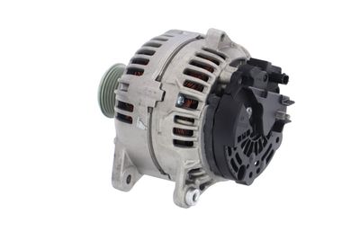 GENERATOR / ALTERNATOR REMANTE 011003000880R 20