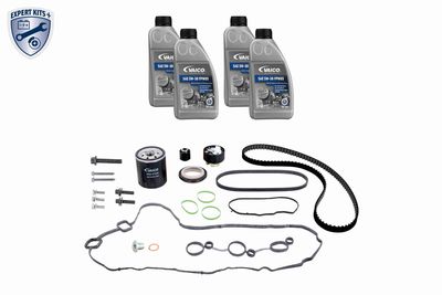 SET CUREA DE DISTRIBUTIE VAICO V221424