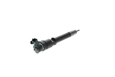 INJECTOR BOSCH 0445110250 13