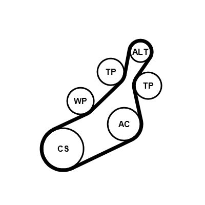 KEILRIPPENRIEMENSATZ CONTINENTAL CTAM 8PK1122EXTRAK1 1