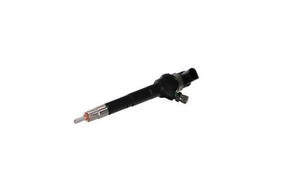 INJECTOR REMANTE 002003001751R 8
