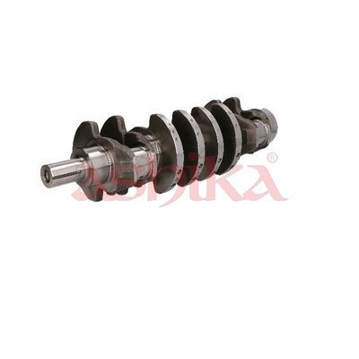 ARBORE COTIT ASHIKA 18KI001 4