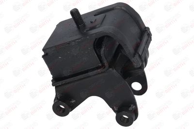 SUPORT MOTOR BIRTH 50438 8