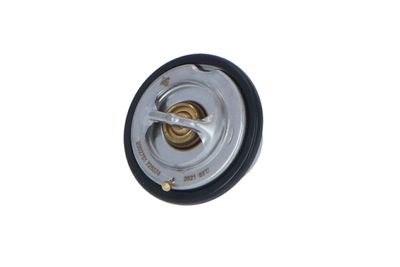 TERMOSTAT LICHID RACIRE NRF 725074 10
